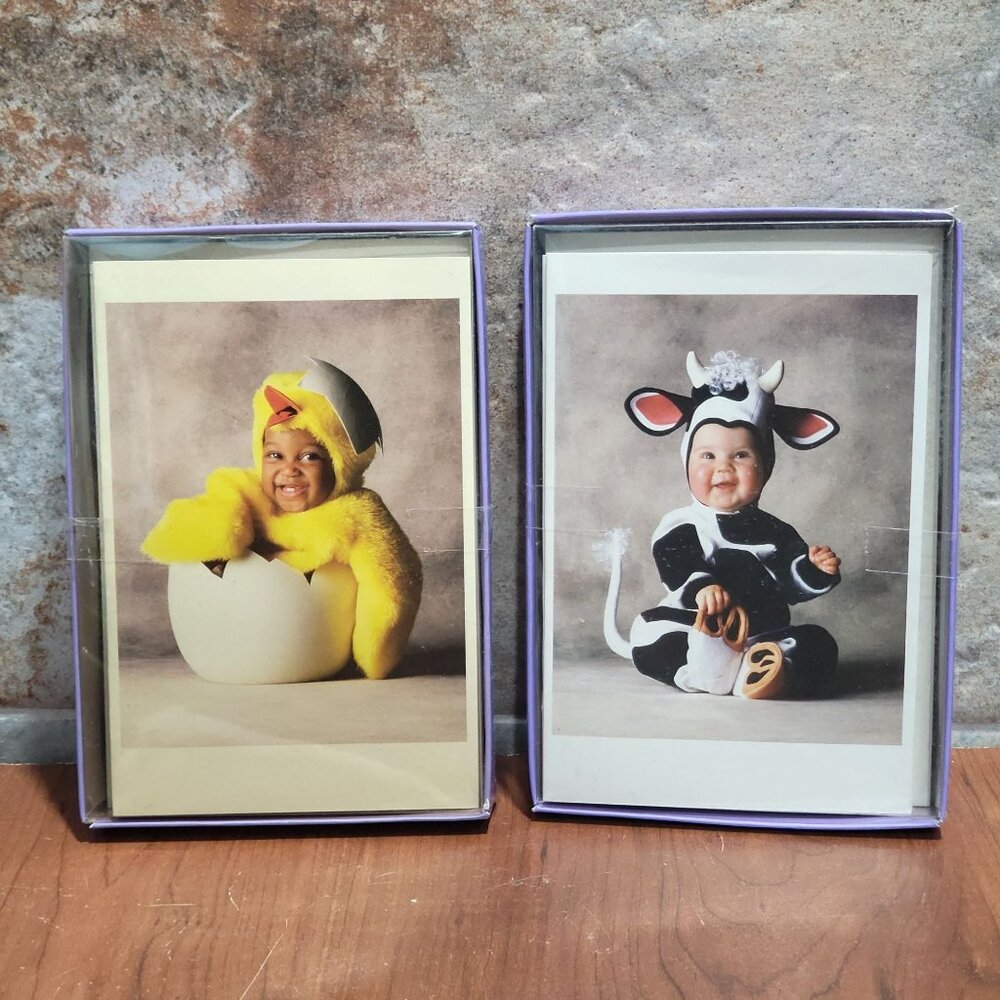 Vintage Tom Arma Note Cards Baby Hatched Chick Baby in Cow Costume 2004 Set of 2